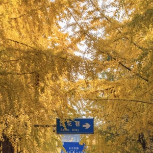 请输入相册名称