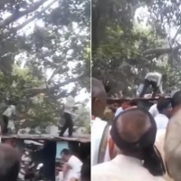 印度一只猴子抢走8万卢比的现金，爬上树抛撒钞票，主人只追回5万 ...