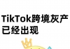 Tk跨境灰产，已经出现