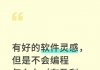 有好的软件灵感，但是不会编程怎么办（有盈利可能）