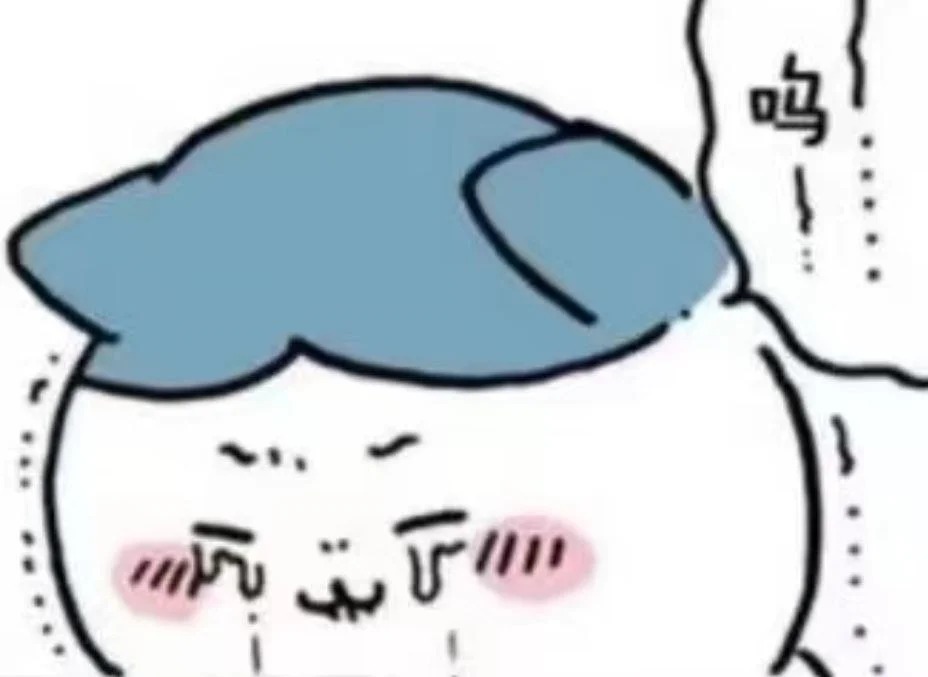 希望是一个长得帅的男生，最好有个姐姐，反正爸妈只爱我（本人的心声）.jpg