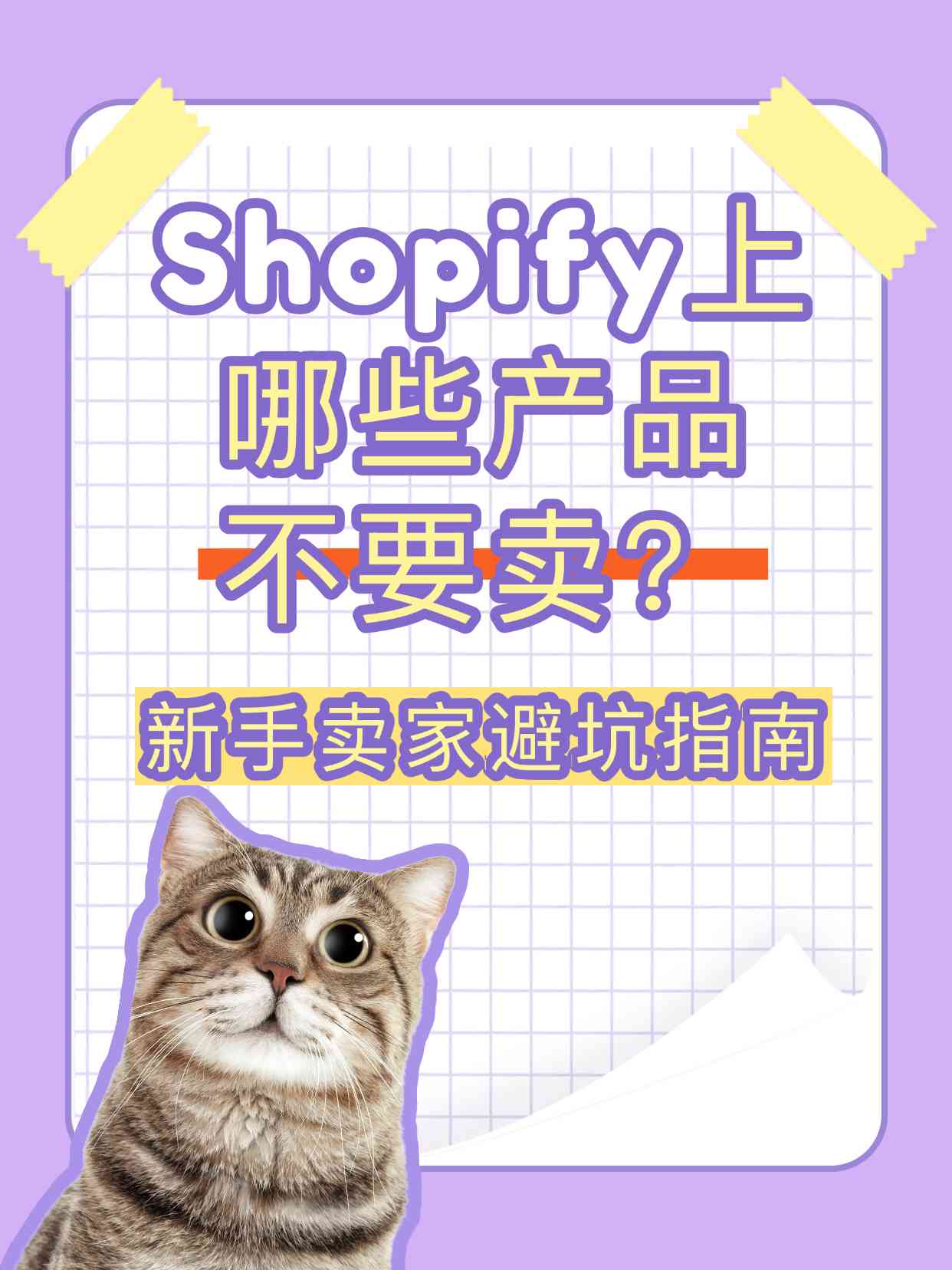 独立站出海操盘手 (1).png