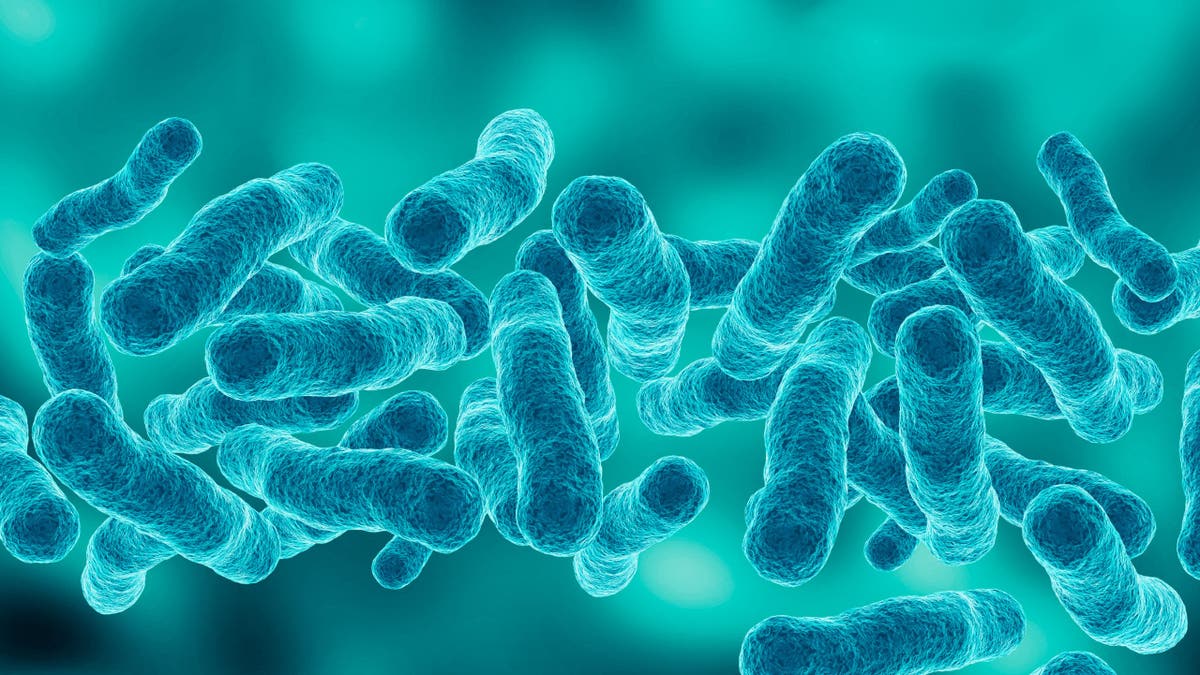 legionella-bacteria-scaled.jpg