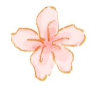 bc892c39629e42e890015754efd69769.gif