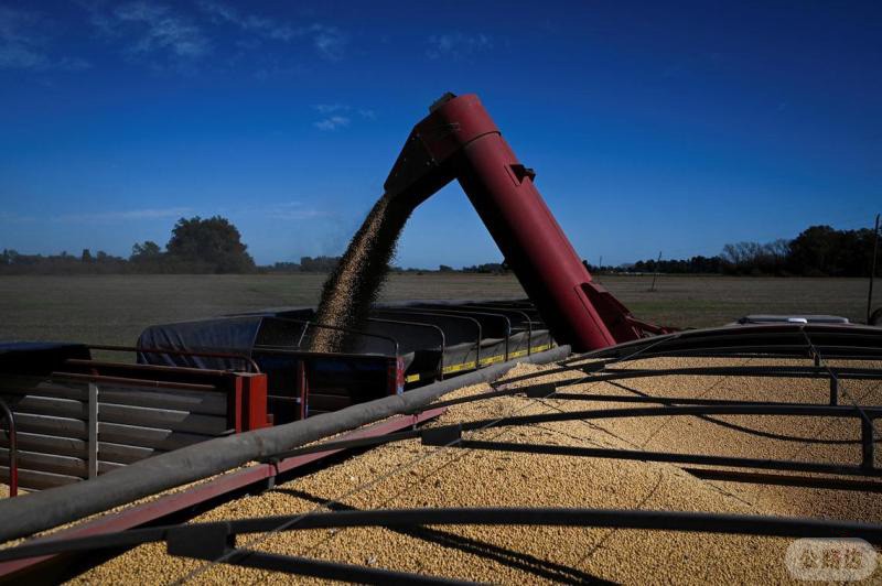2025-06-26T074708Z382725656RC2FGEAD9ZGGRTRMADP3CHINA-ARGENTINA-TRADE-SOYMEAL_0.jpg
