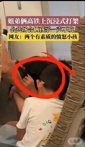 高铁上姐弟“无声打架”，网友惊呼：这素质太高了！.jpg