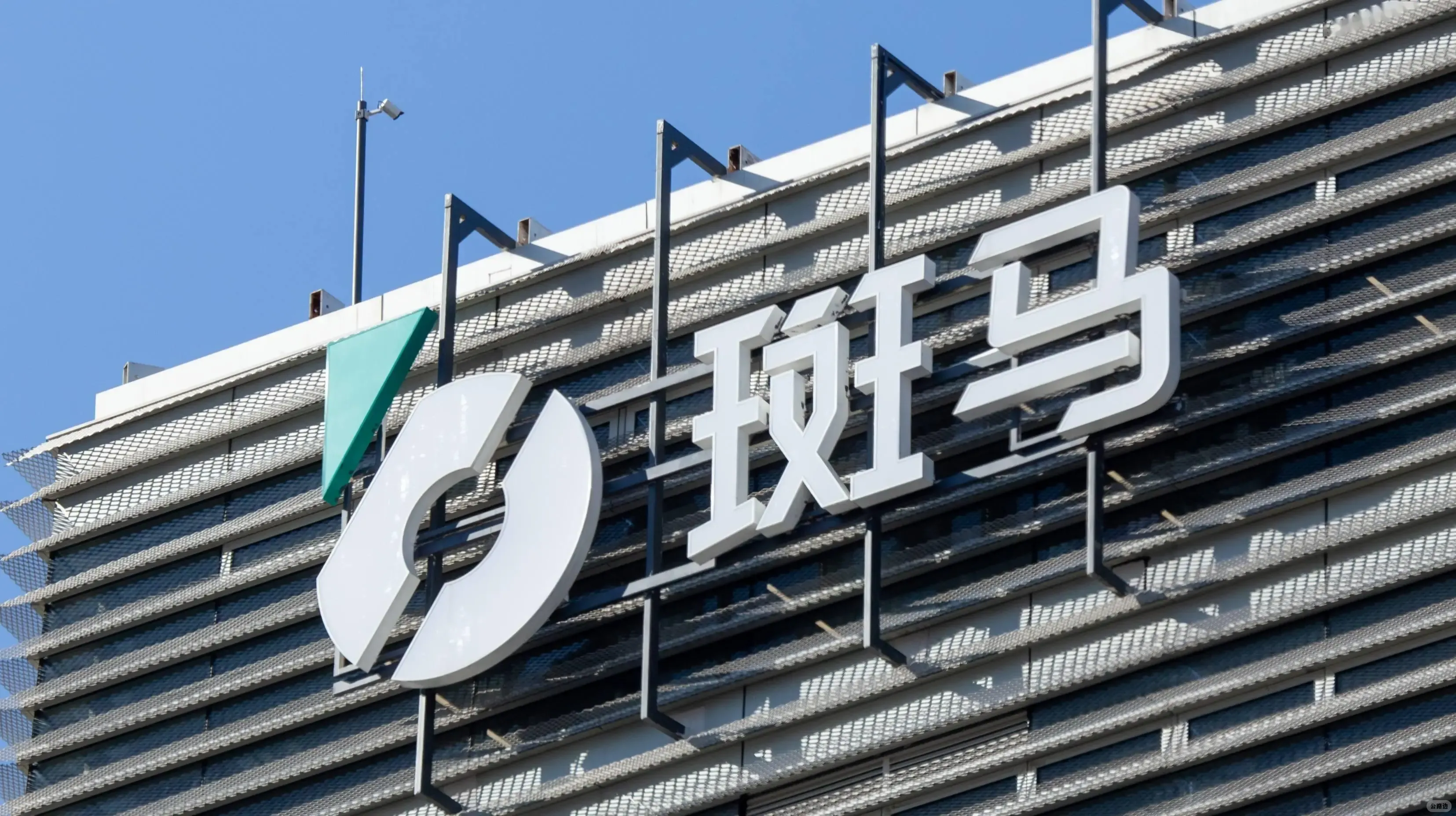 要被阿里分拆上市的斑马，成色几何.jpeg