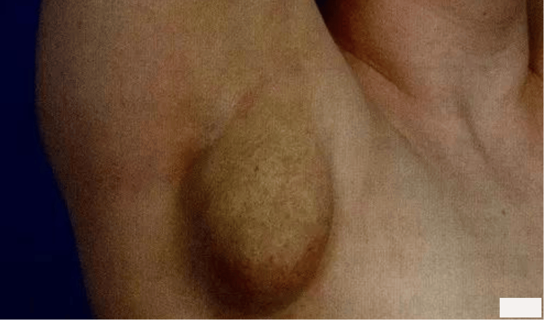 f2942098774e4f5188ee39607eb83fb5.png