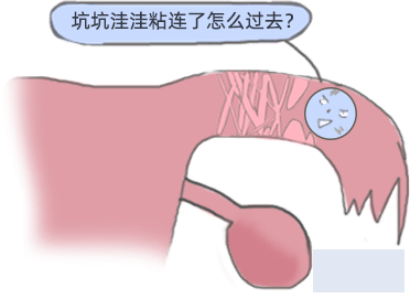 88957c8e3d6f44c69ade972e626131f1.png