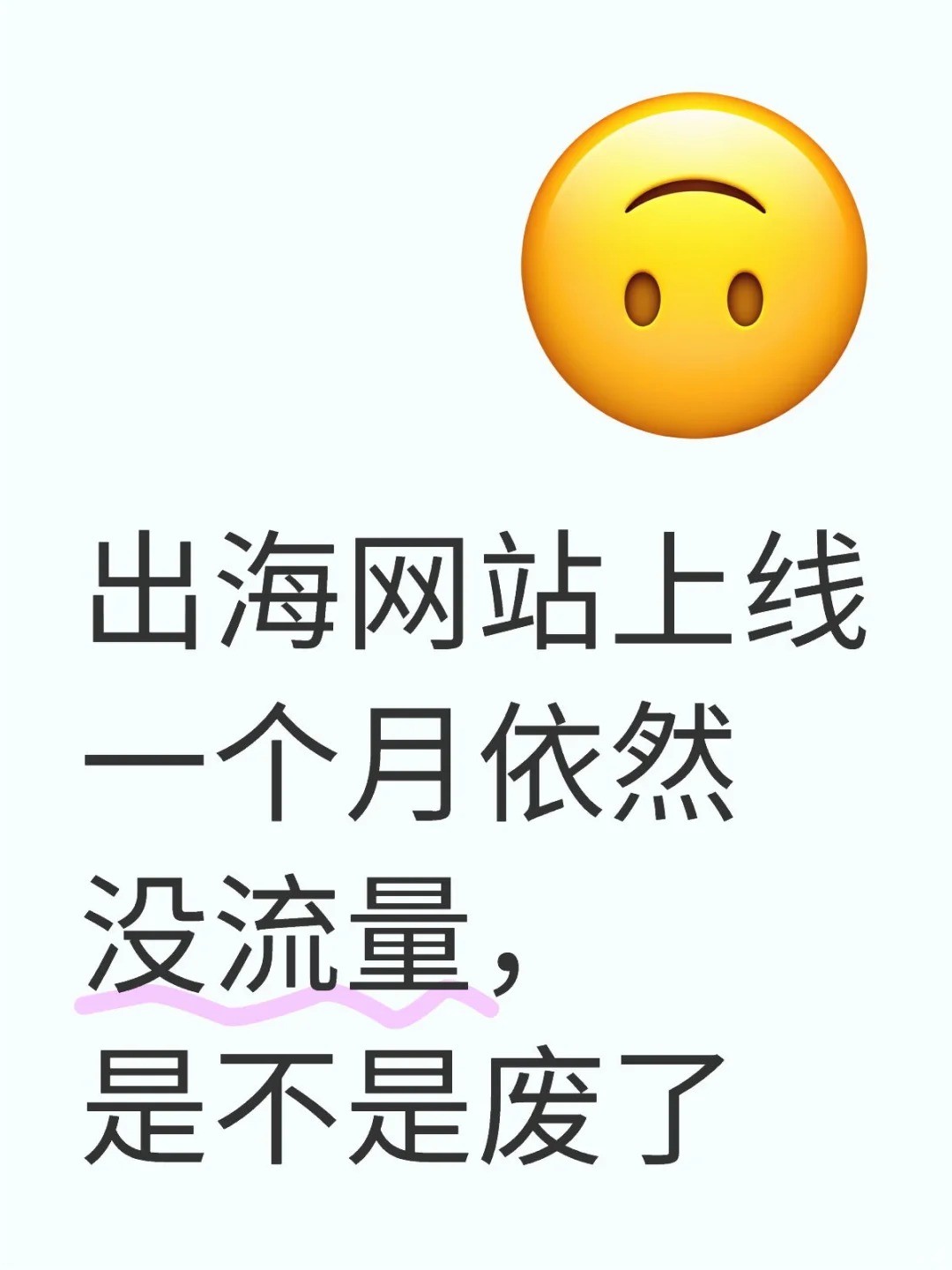 出海网站上线一个月没流量，是不是废了？.jpg