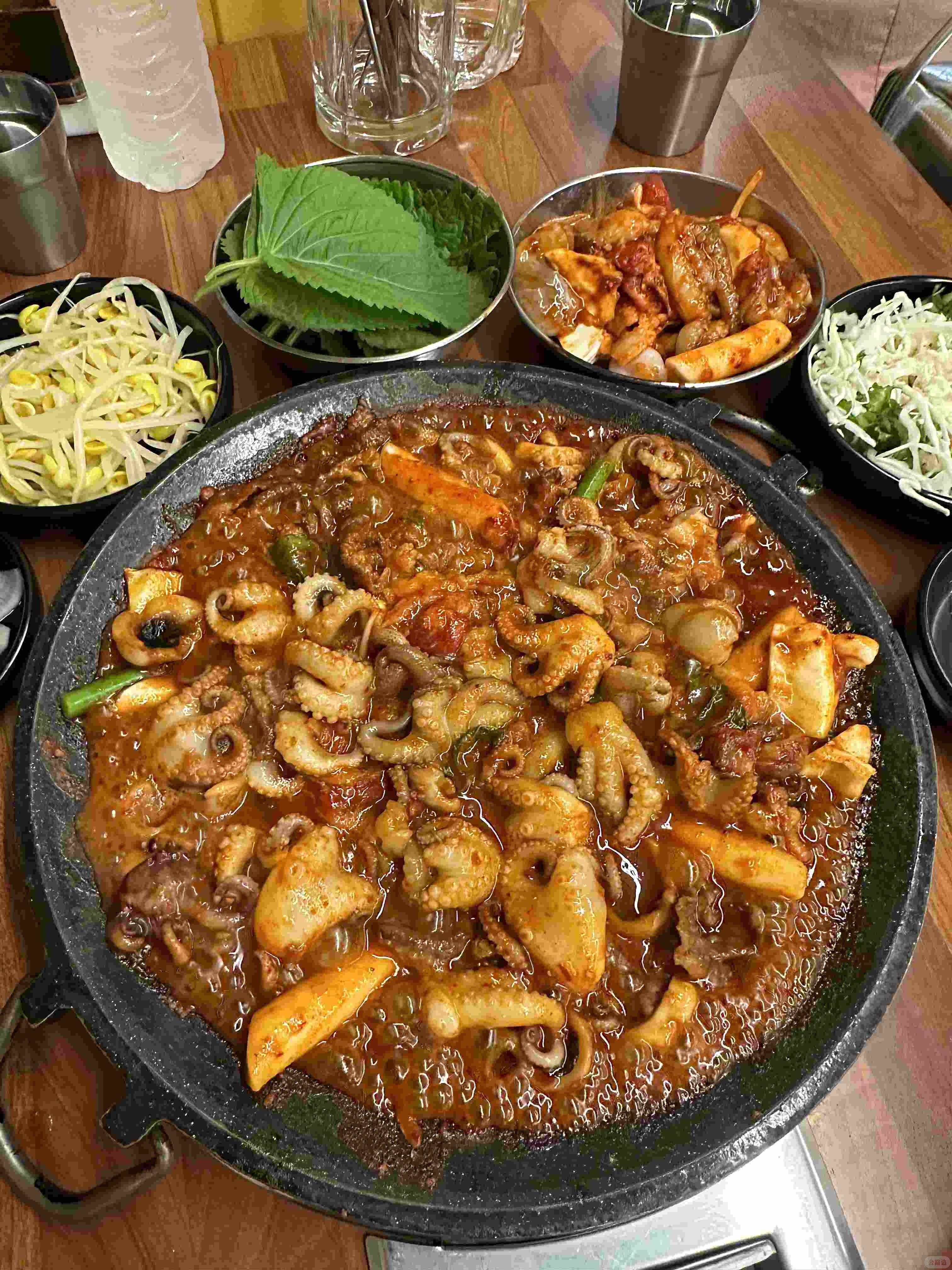 낙지 (1).jpg
