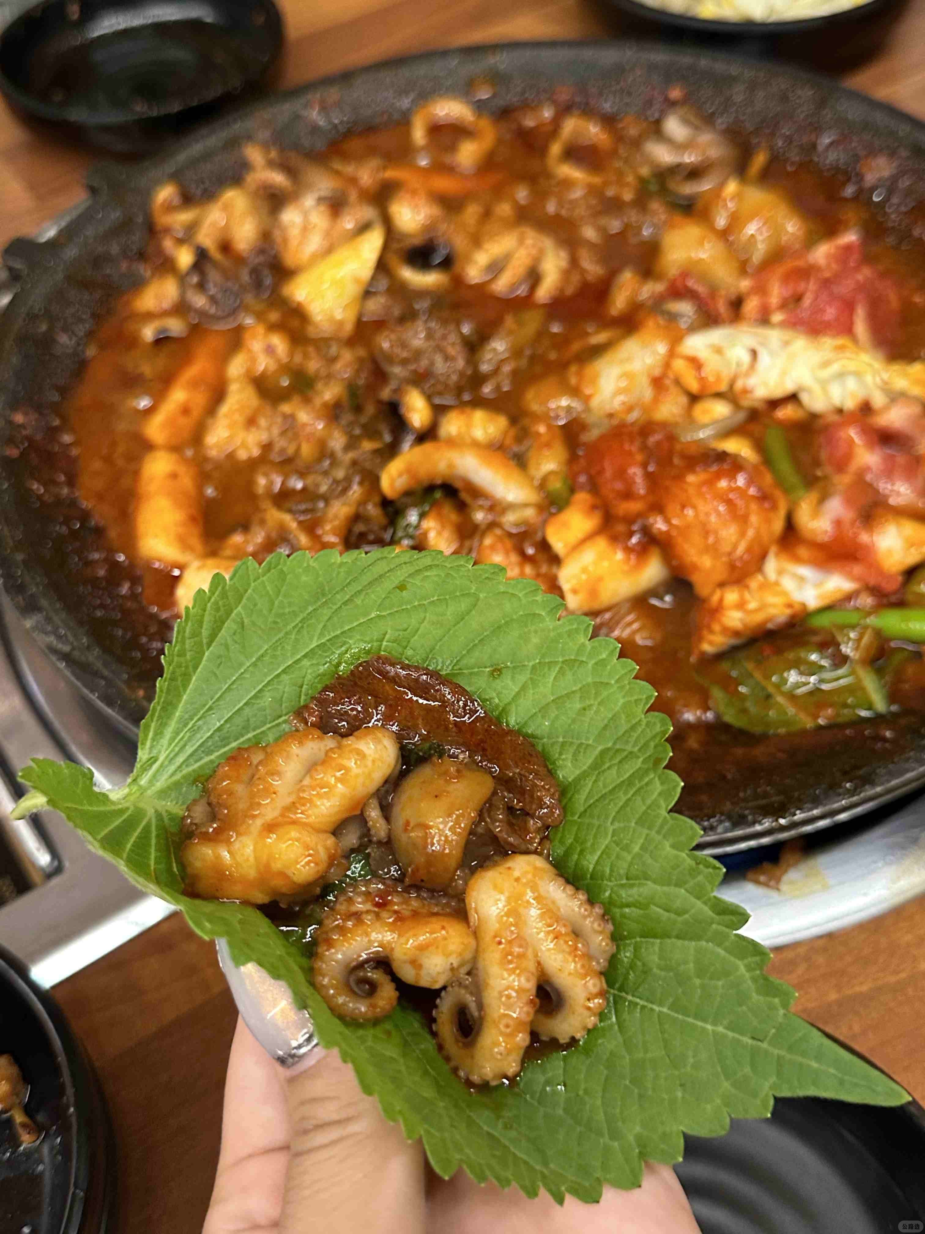 낙지 (4).jpg