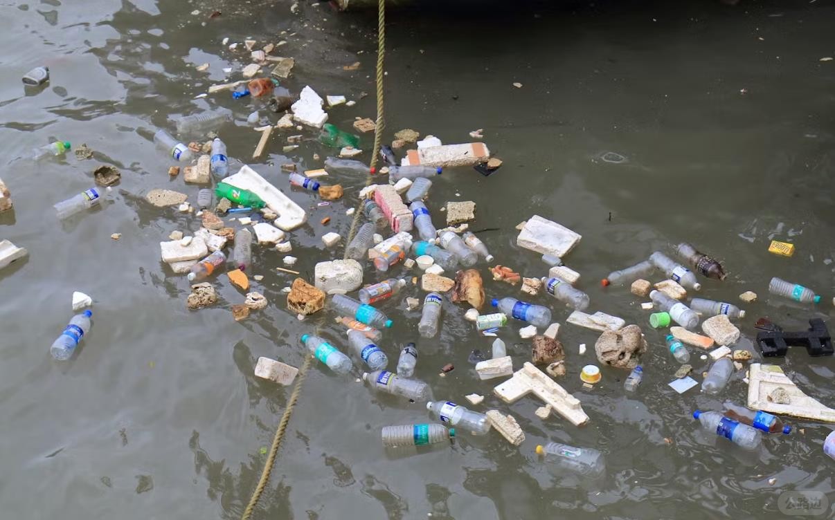 How India helped scuttle the global plastics treaty.jpg