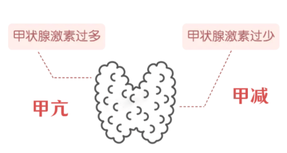 6bb64f7533e24f4c88f7373095f2706f.png