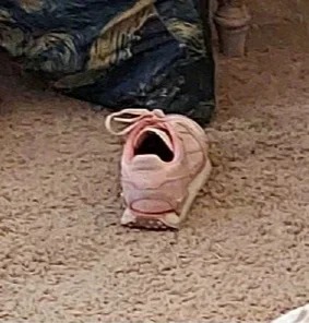 太棒啦.jpg