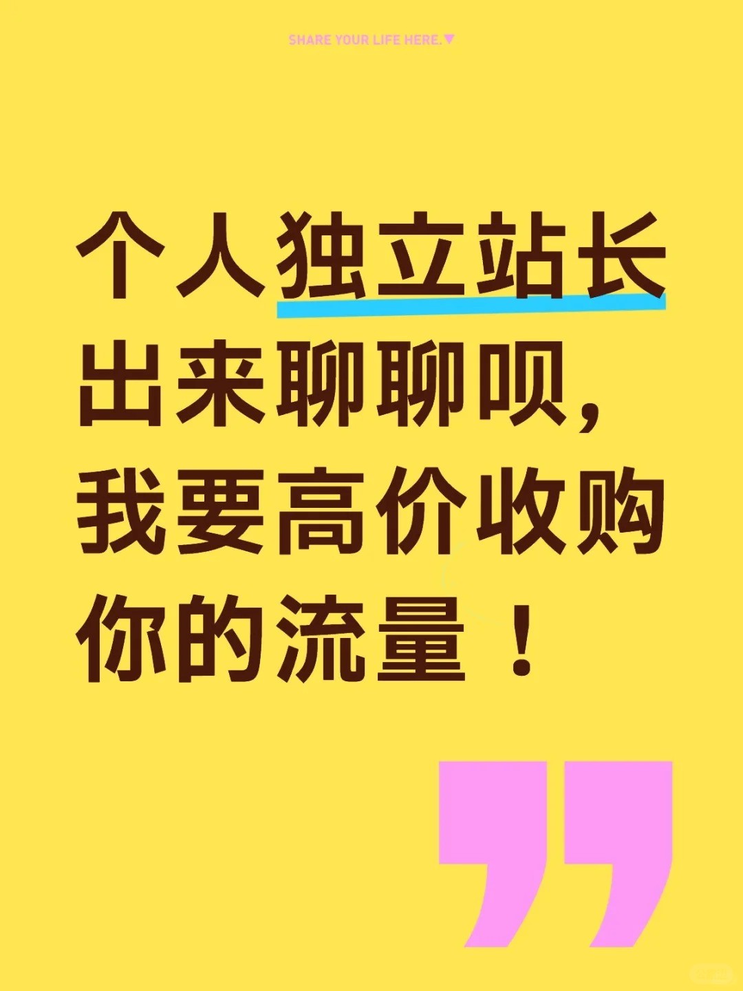 个人独立站长出来聊聊呗，我要高价收购你的流量！.jpg