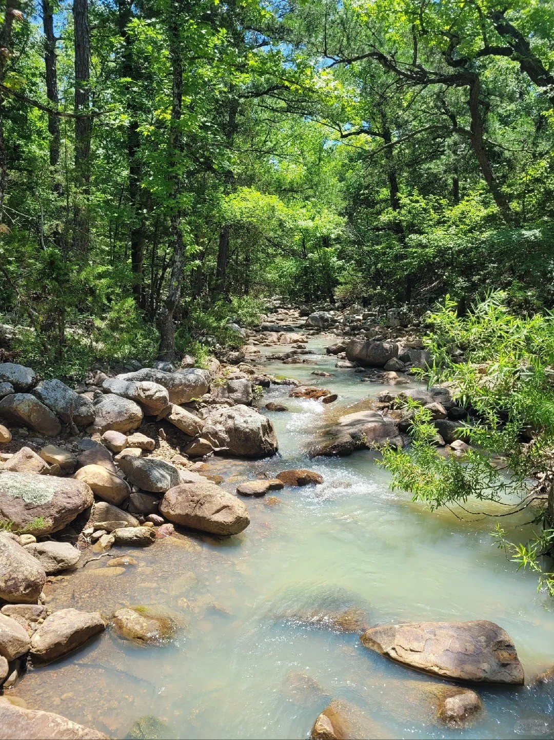 There are some beautiful, National Parks..jpg