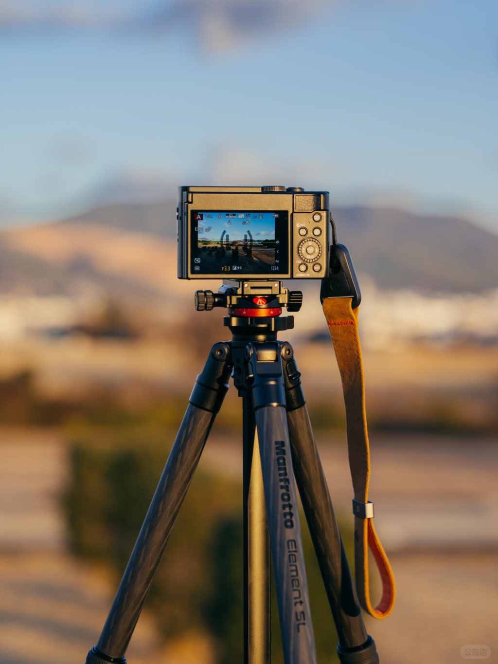 camera tripod (1).jpg