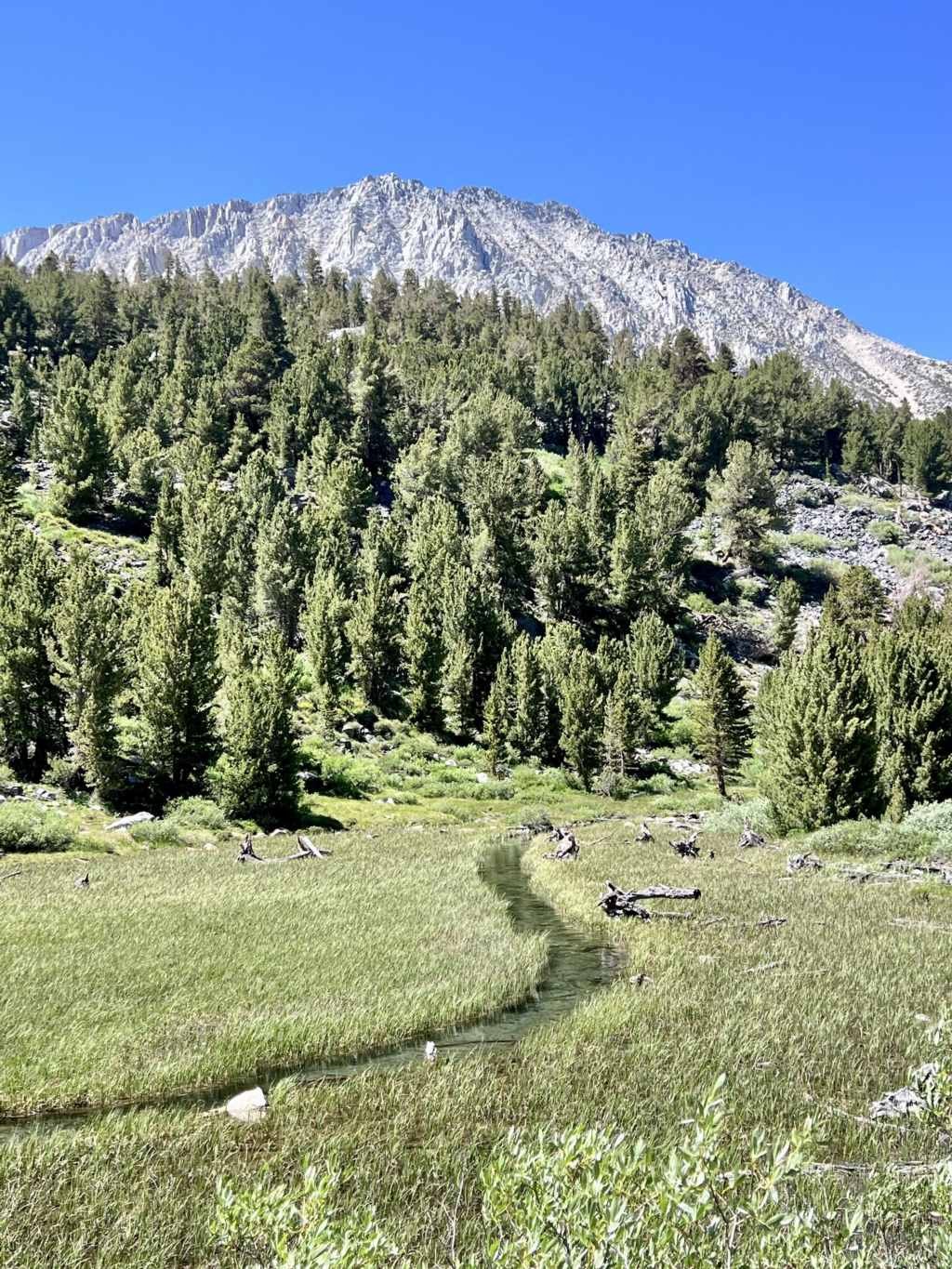California Hiking, My best Summer in the Sierra (6).jpg