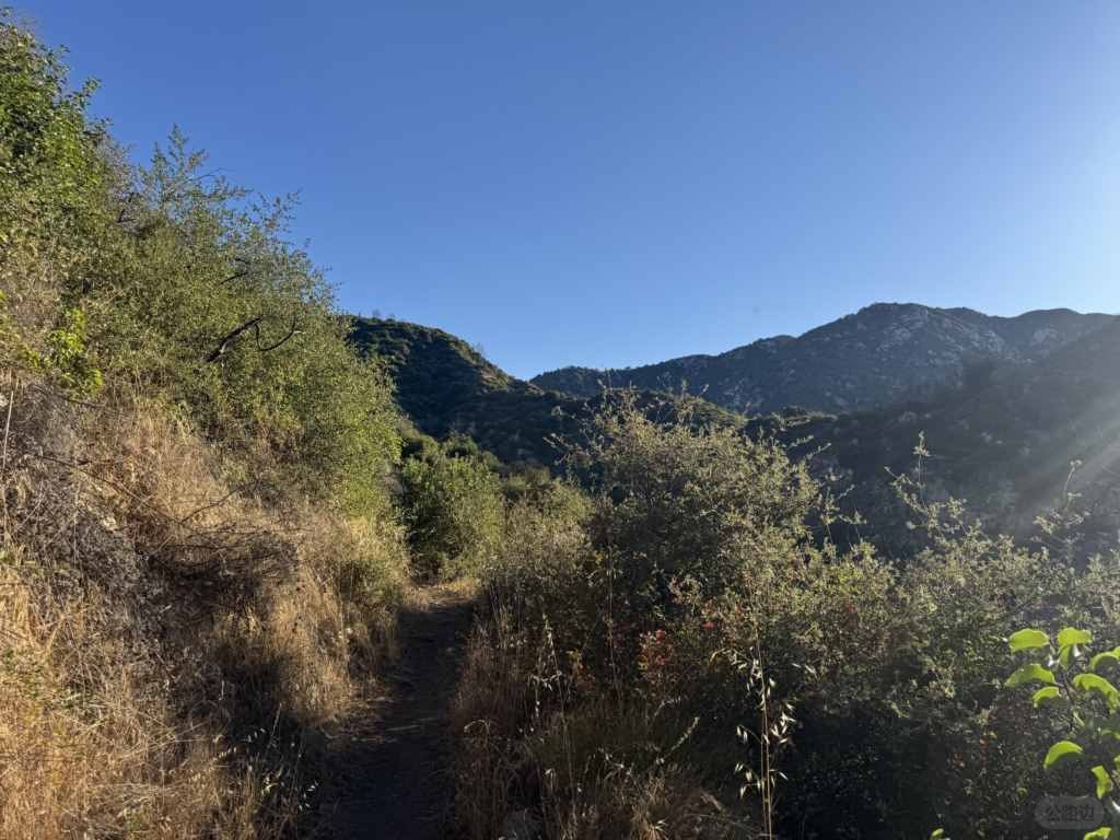 The stunning scenery through Sturtevant Falls (8).jpg