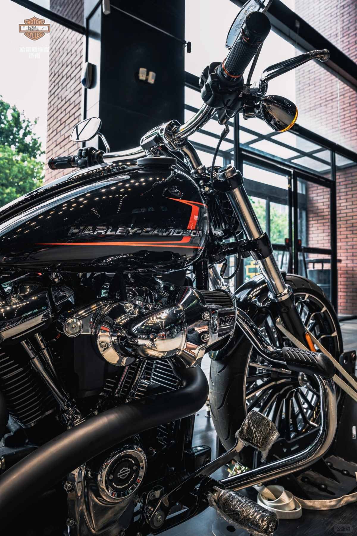 Harley Breakers (6).jpg