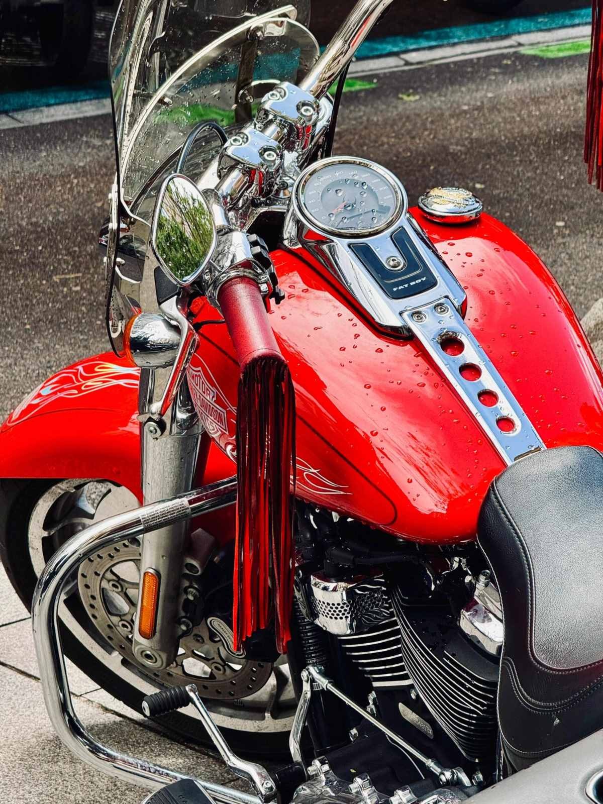 Harley motorcycles in Europe (13).jpg