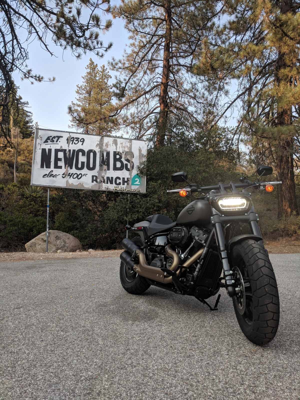 Harley (1).jpg