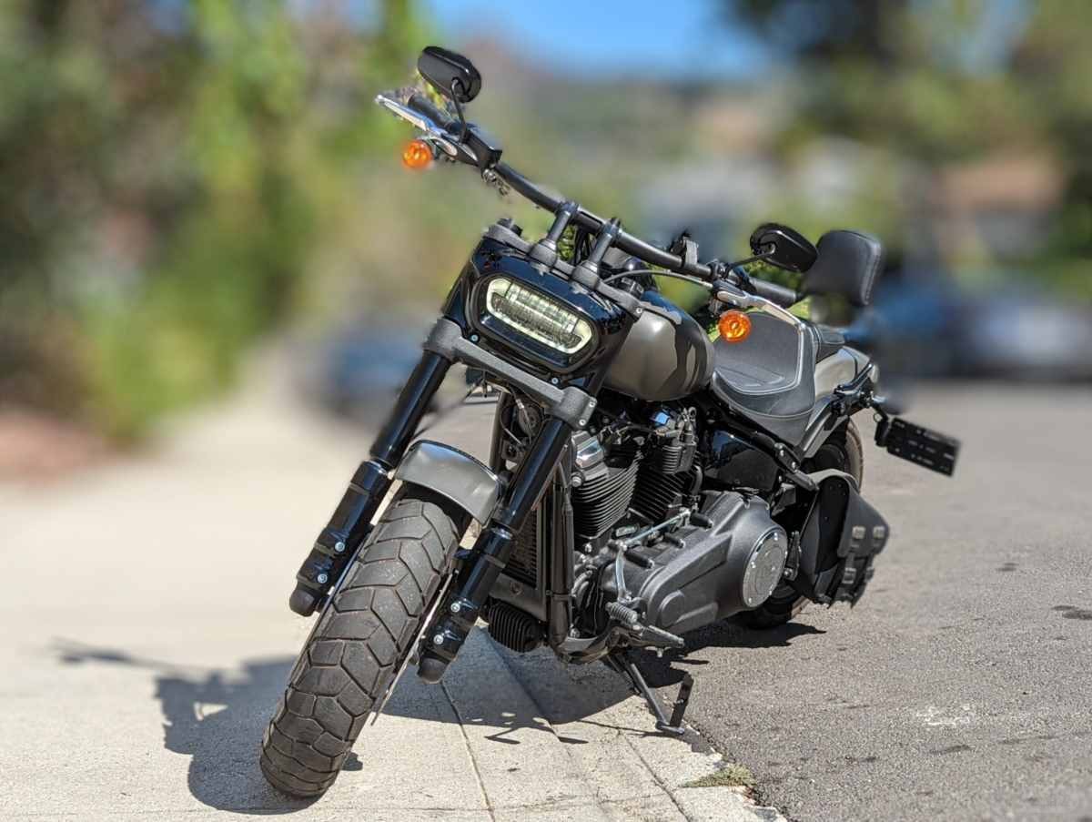 Harley (2).jpg