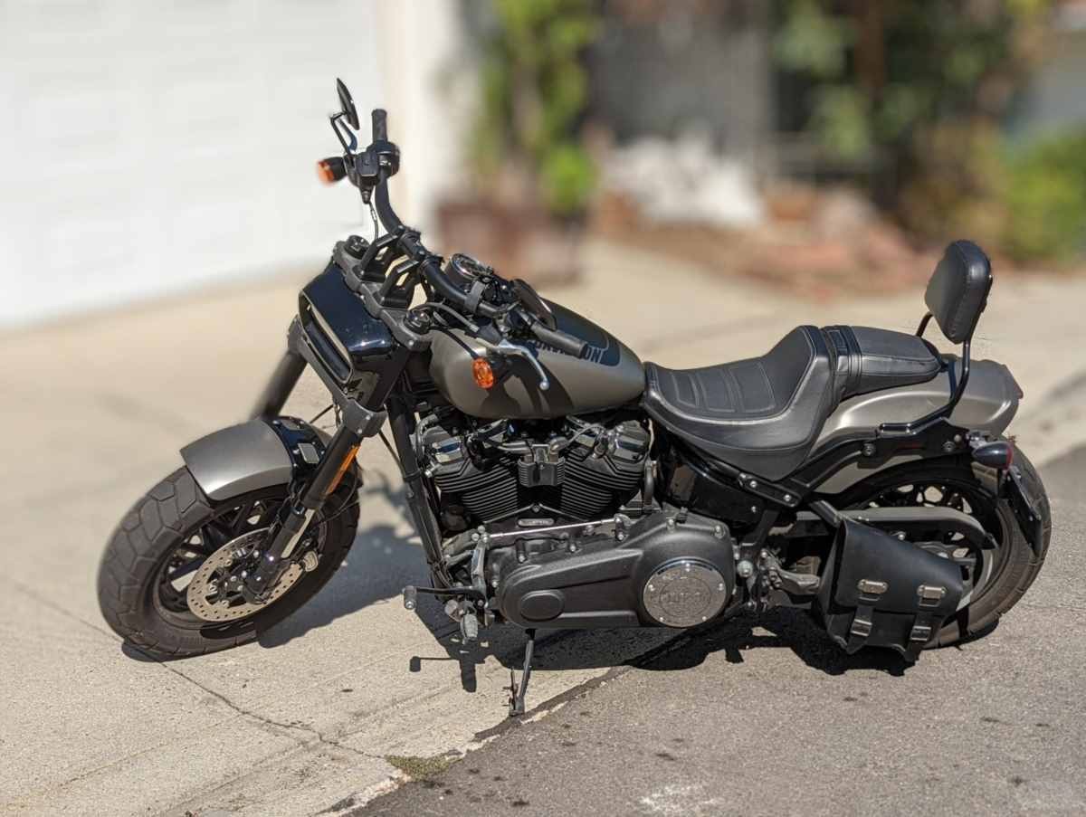 Harley (3).jpg