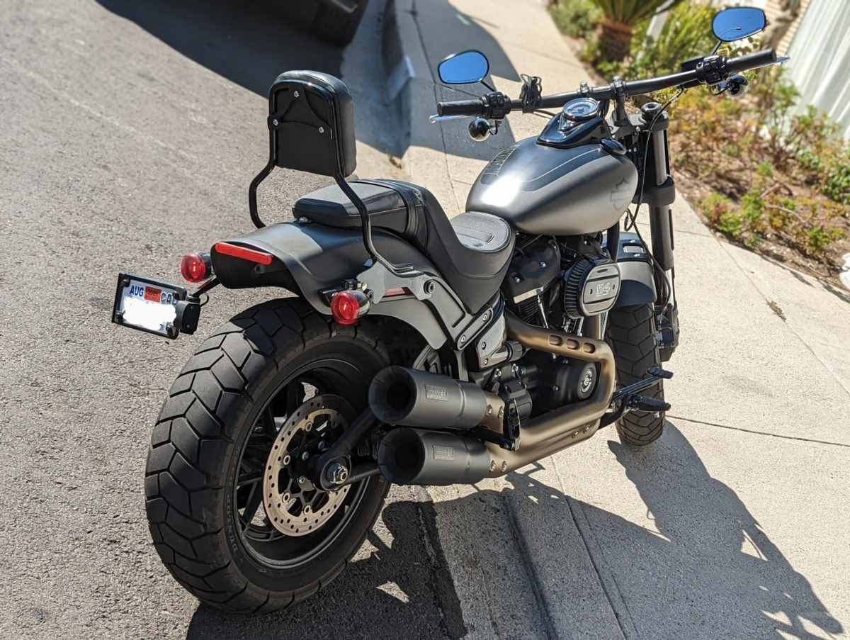 Harley (4).jpg