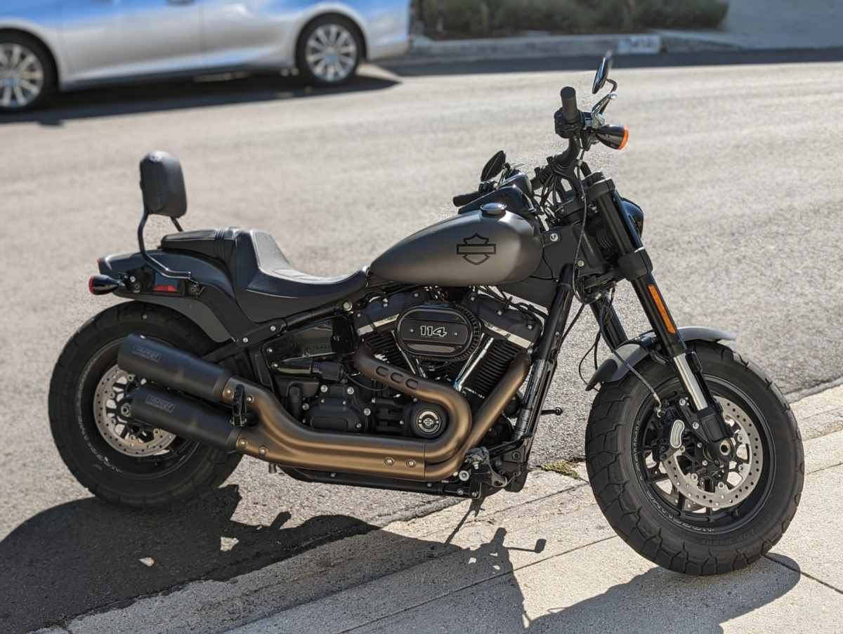 Harley (5).jpg