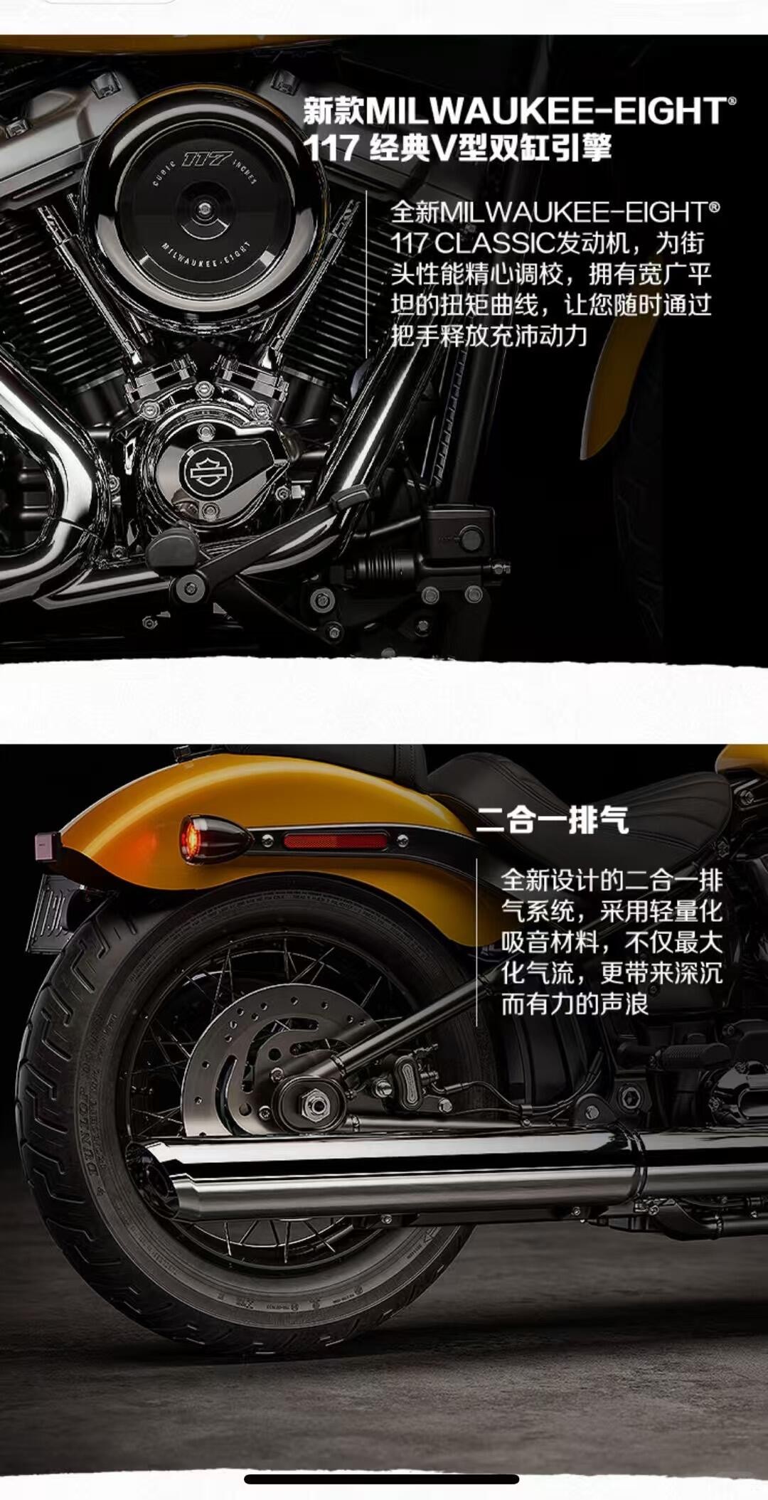 Harley-Davidson motorcycle (3).jpg