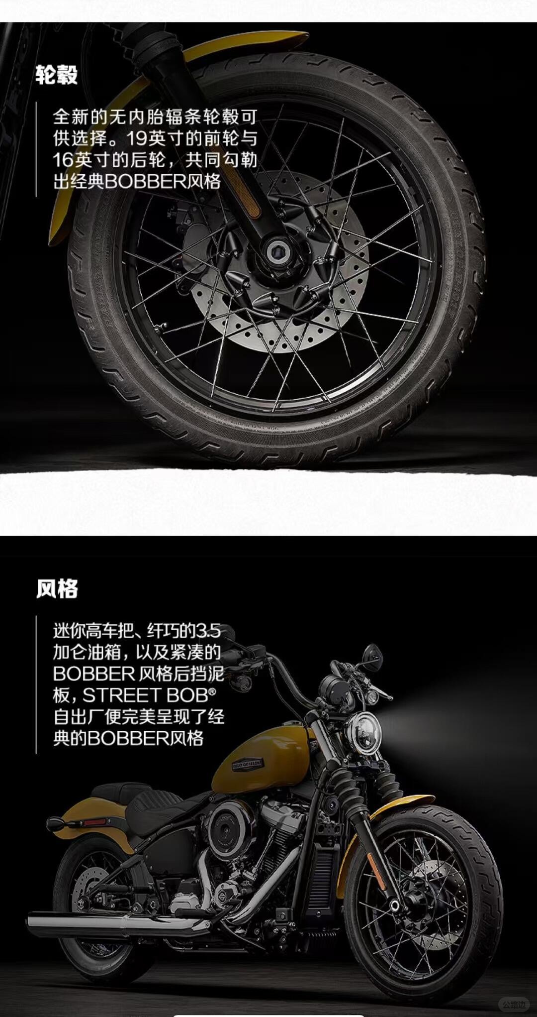 Harley-Davidson motorcycle (6).jpg
