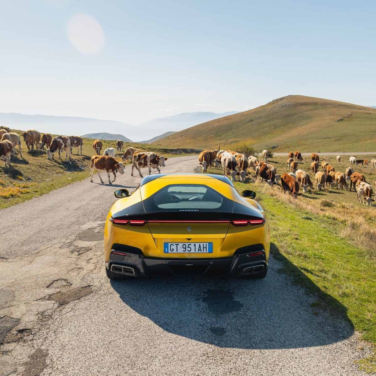Vanquish (4).jpg