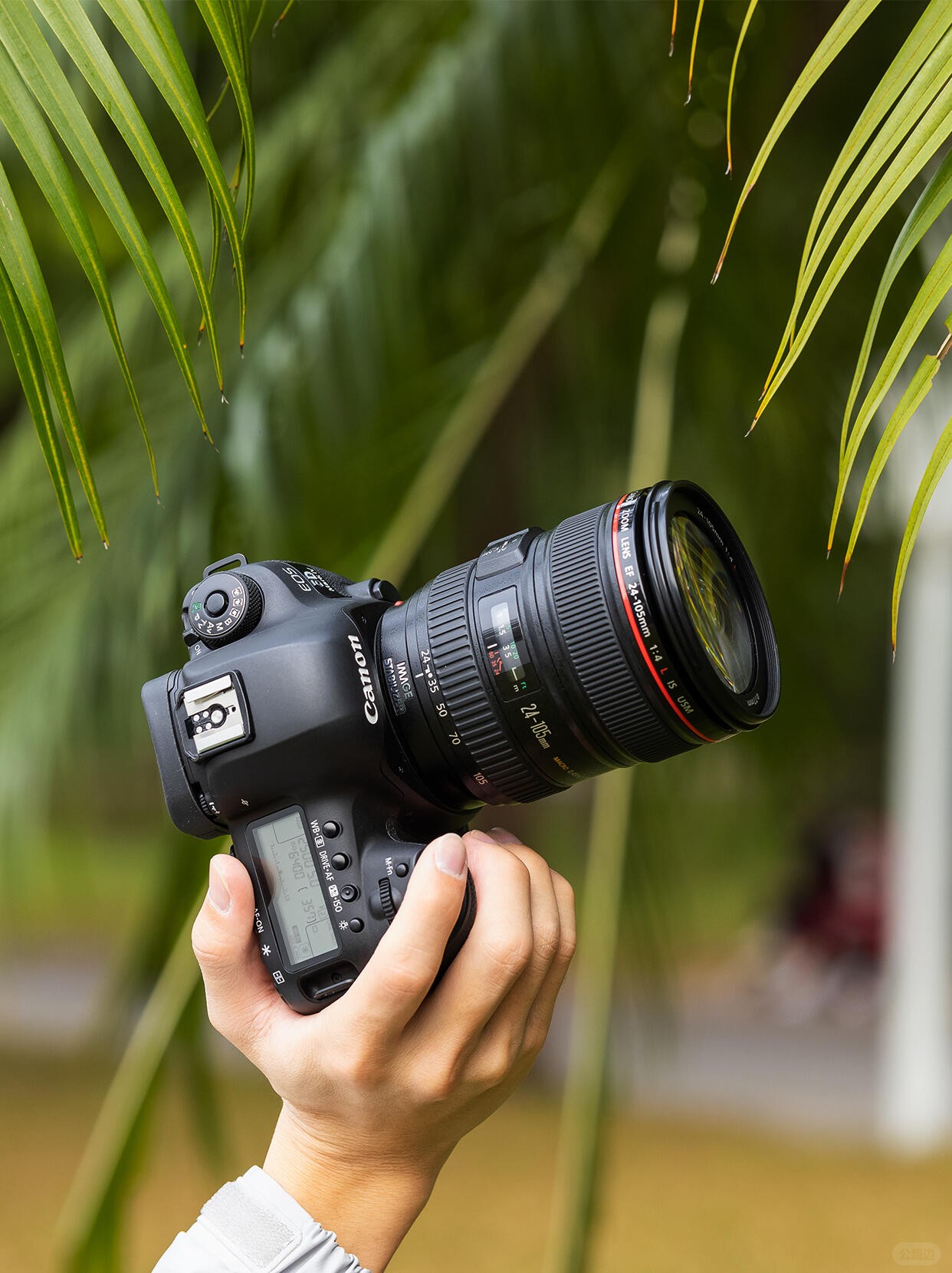 Canon 5D4.jpg