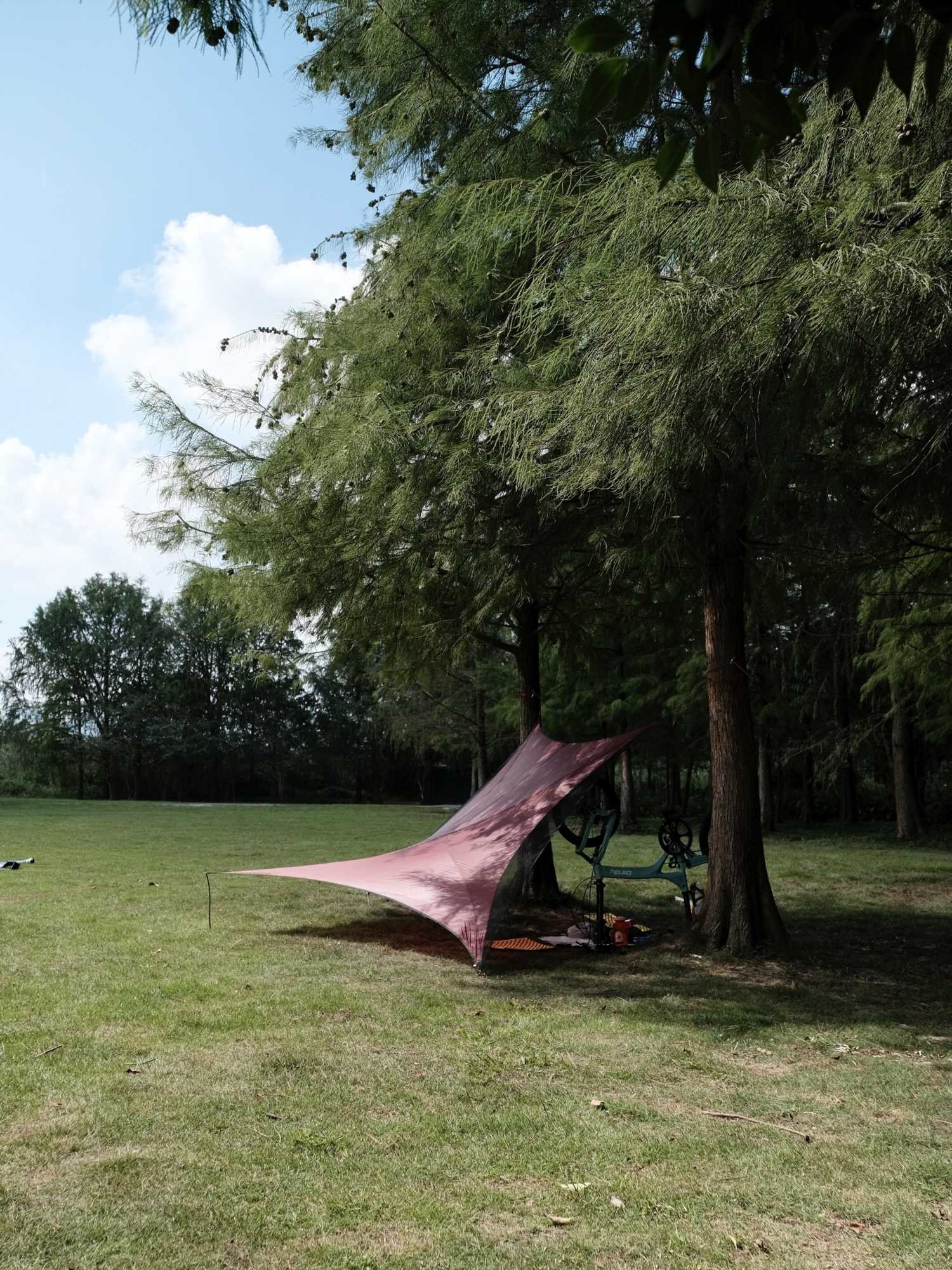 Happy to bring a new car, Bird, and ride to the park on a sunny day for leisure (4).jpg