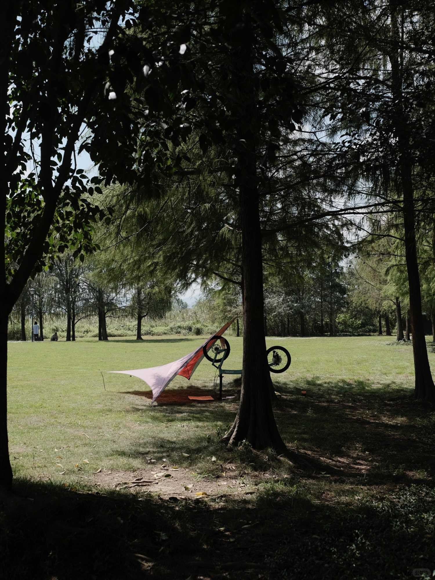 Happy to bring a new car, Bird, and ride to the park on a sunny day for leisure (14).jpg