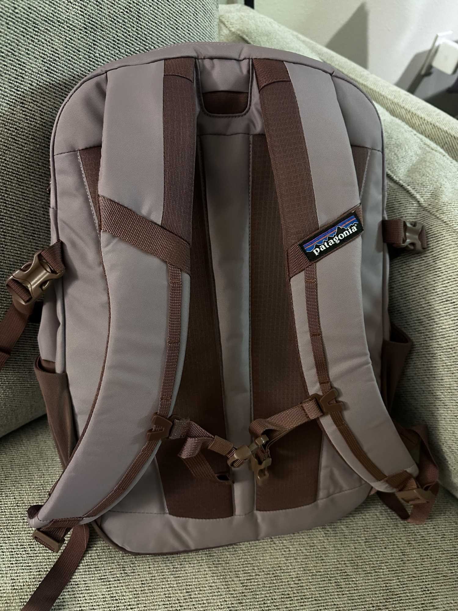 Black Friday Pata boarding bag safely disembarks (2).jpg