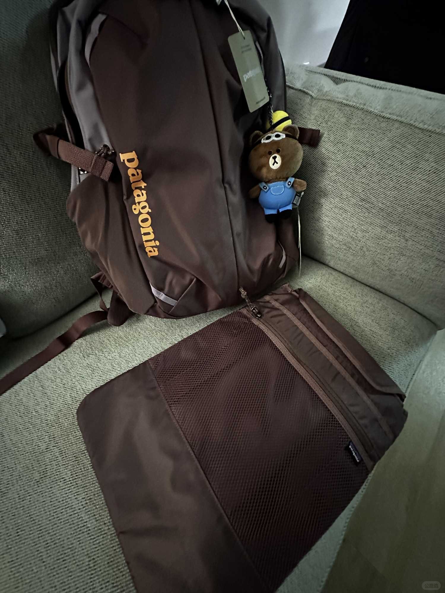 Black Friday Pata boarding bag safely disembarks (3).jpg