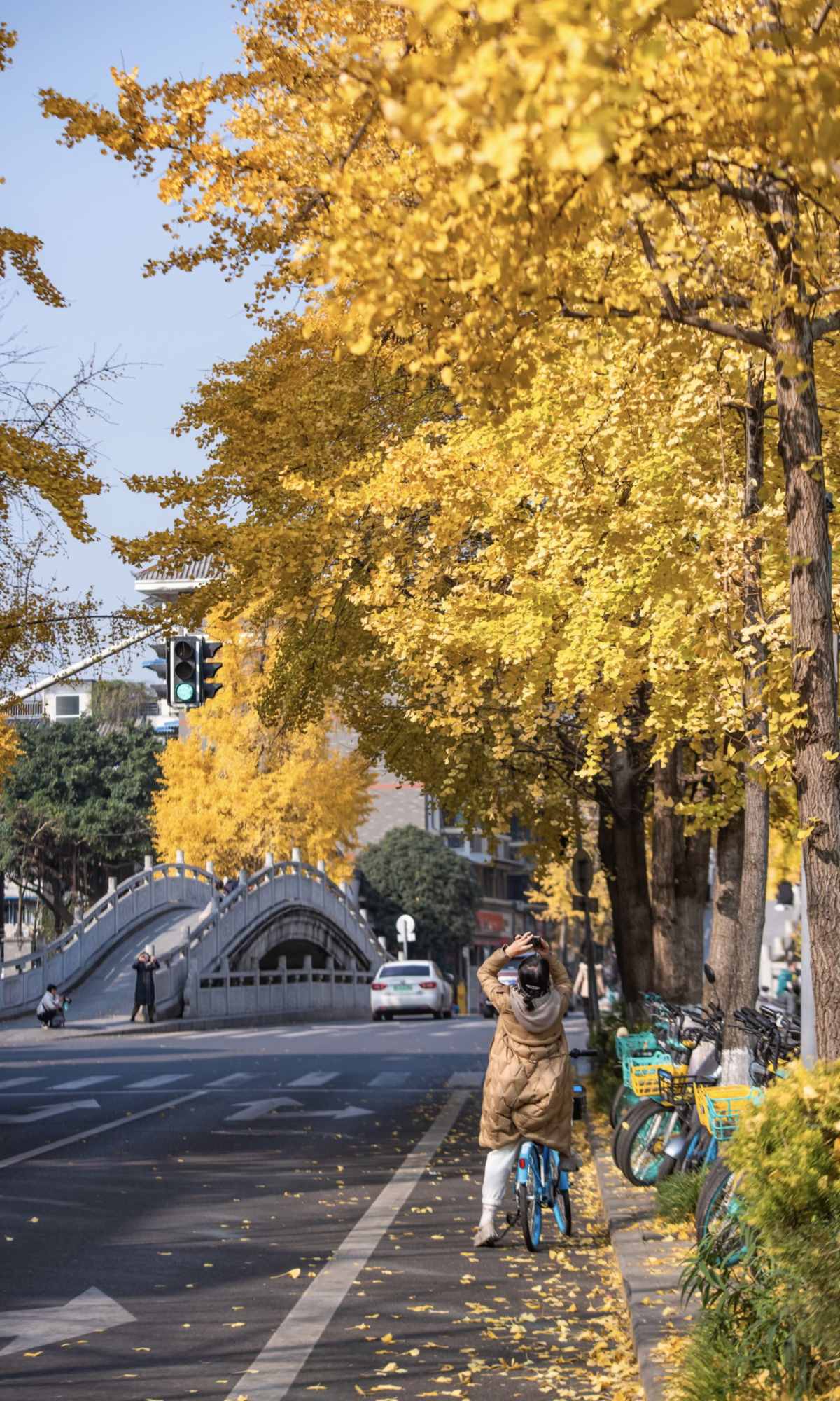 Curse of Golden City, Unlock Chengdu Ginkgo Season with CityWalk (5).jpg