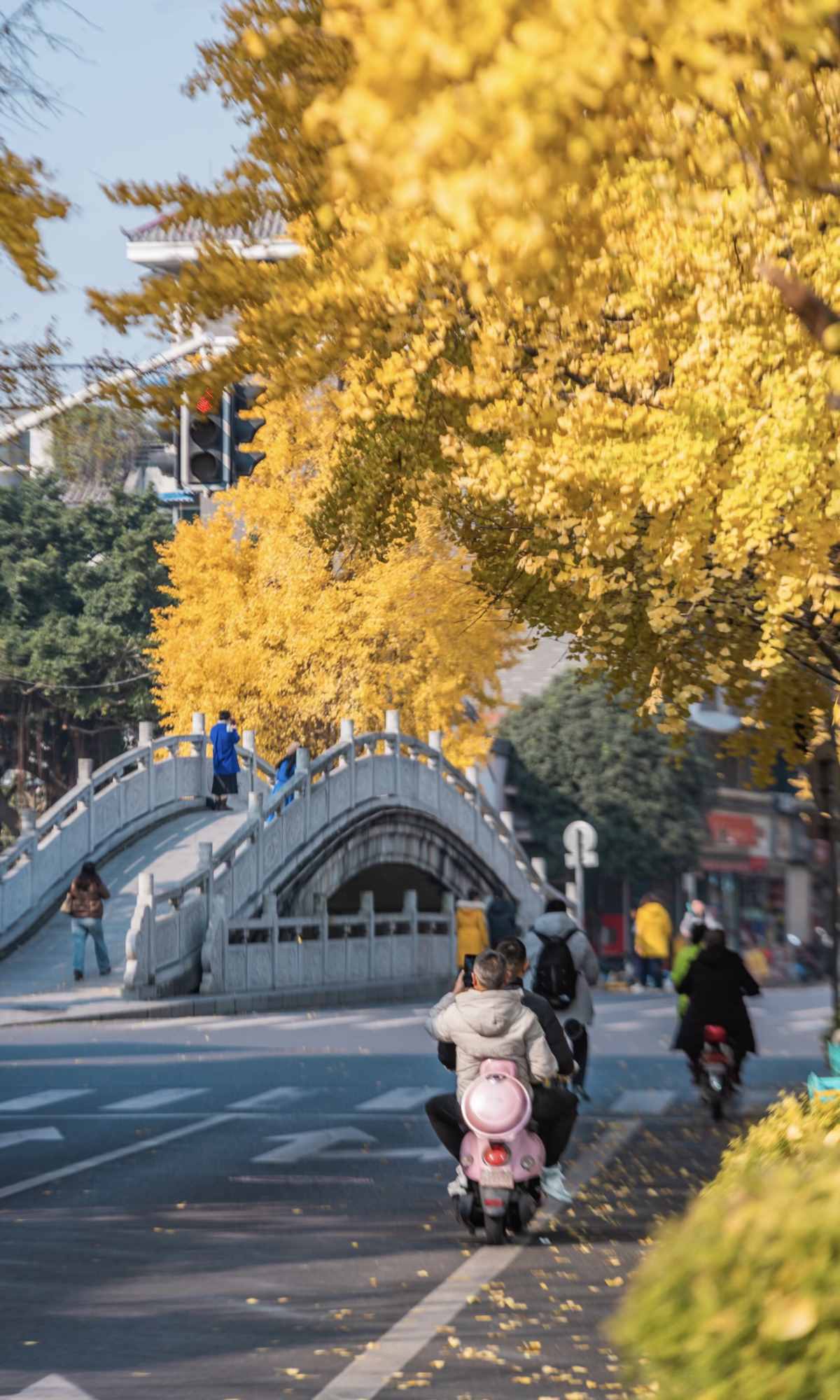 Curse of Golden City, Unlock Chengdu Ginkgo Season with CityWalk (7).jpg