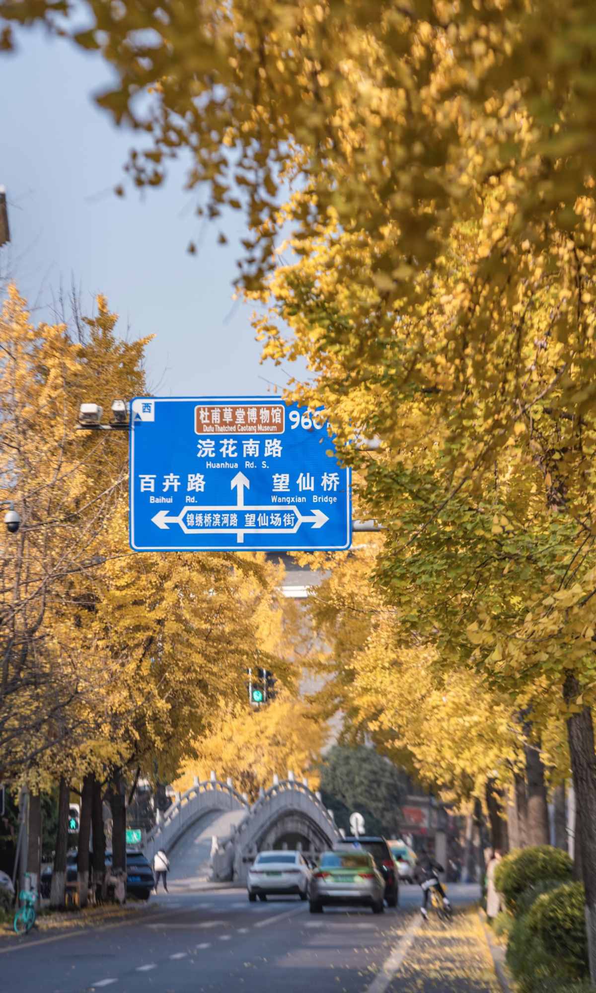 Curse of Golden City, Unlock Chengdu Ginkgo Season with CityWalk (8).jpg