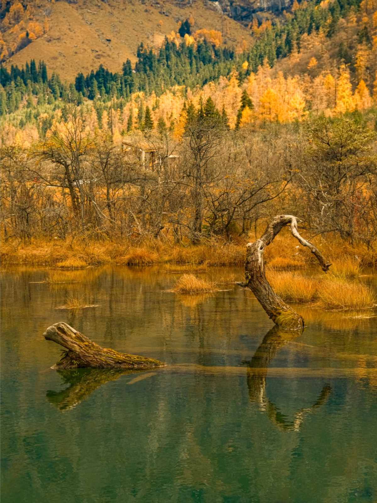 What a wonderful autumn in China, rated as the most beautiful by National Geogra (4).jpg