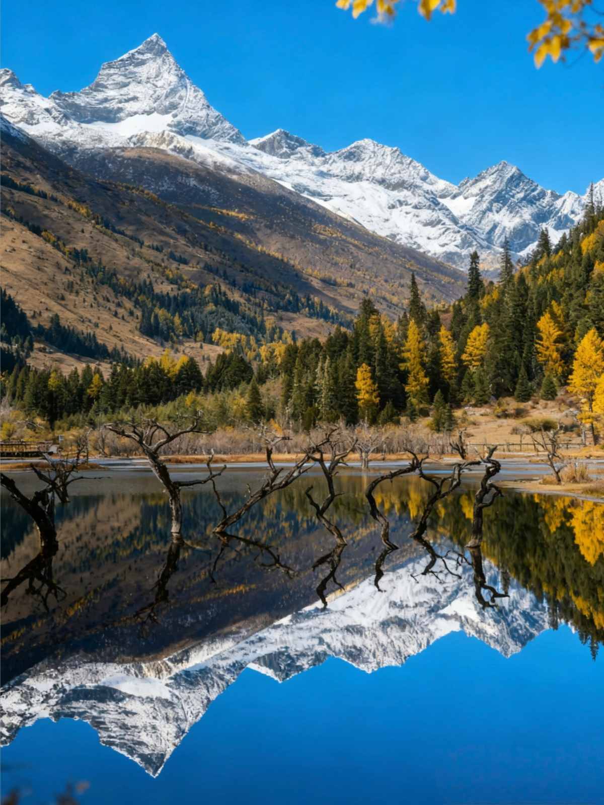 What a wonderful autumn in China, rated as the most beautiful by National Geogra (8).jpg