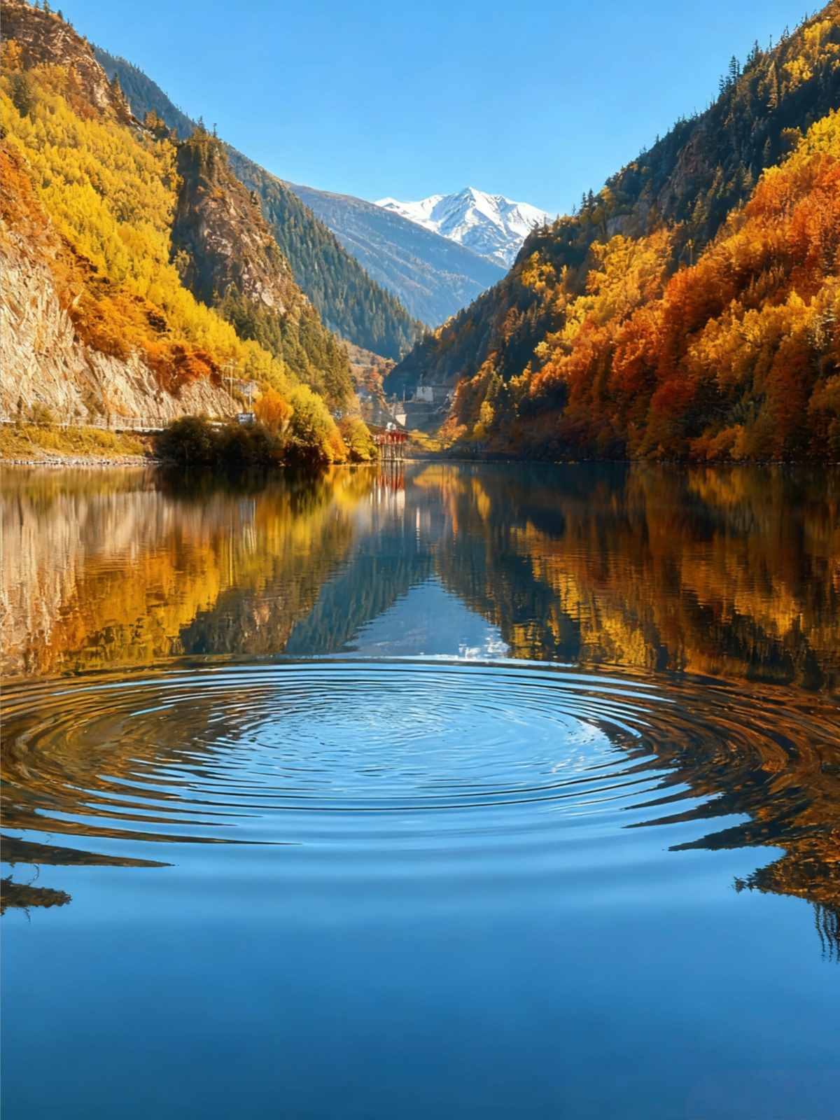 What a wonderful autumn in China, rated as the most beautiful by National Geogra (12).jpg
