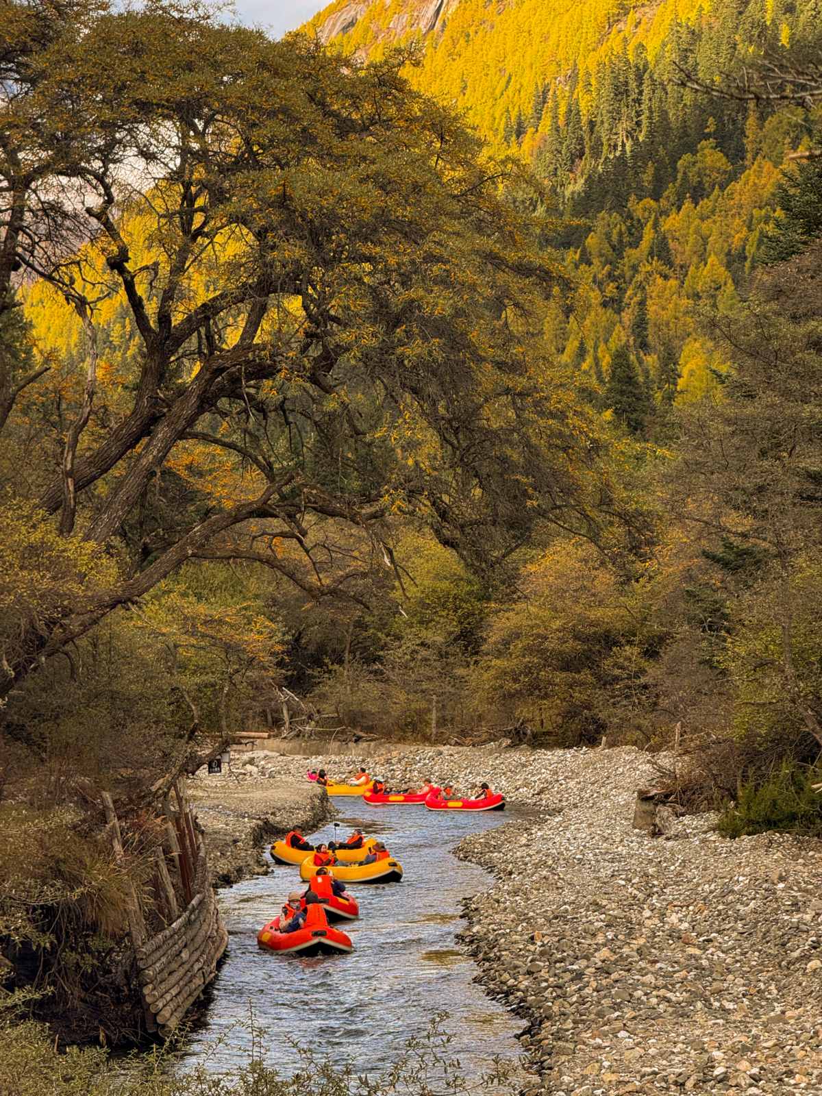 What a wonderful autumn in China, rated as the most beautiful by National Geogra (13).jpg