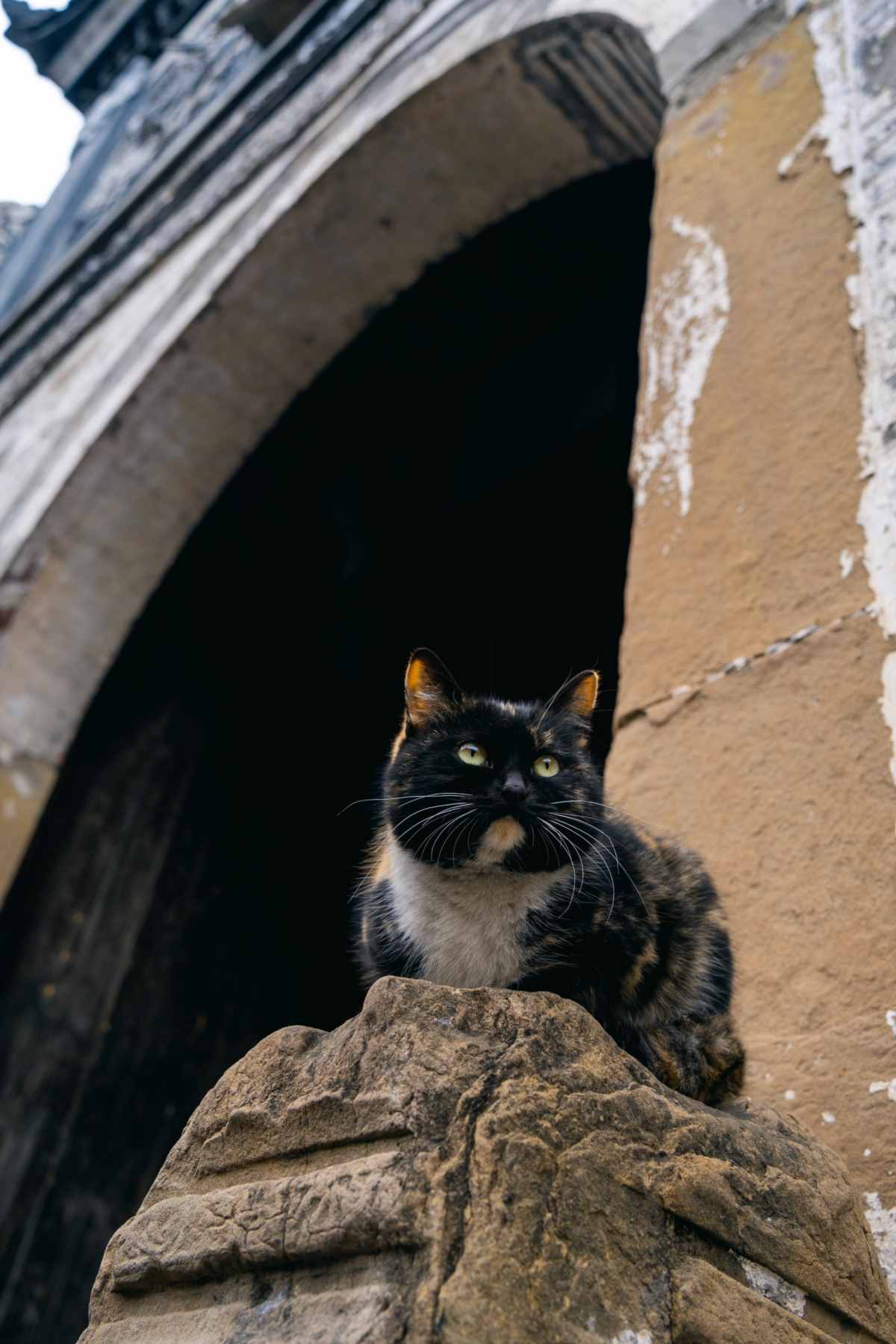 Within an hour around Chengdu, I was amazed by the millennium old town under the (10).jpg