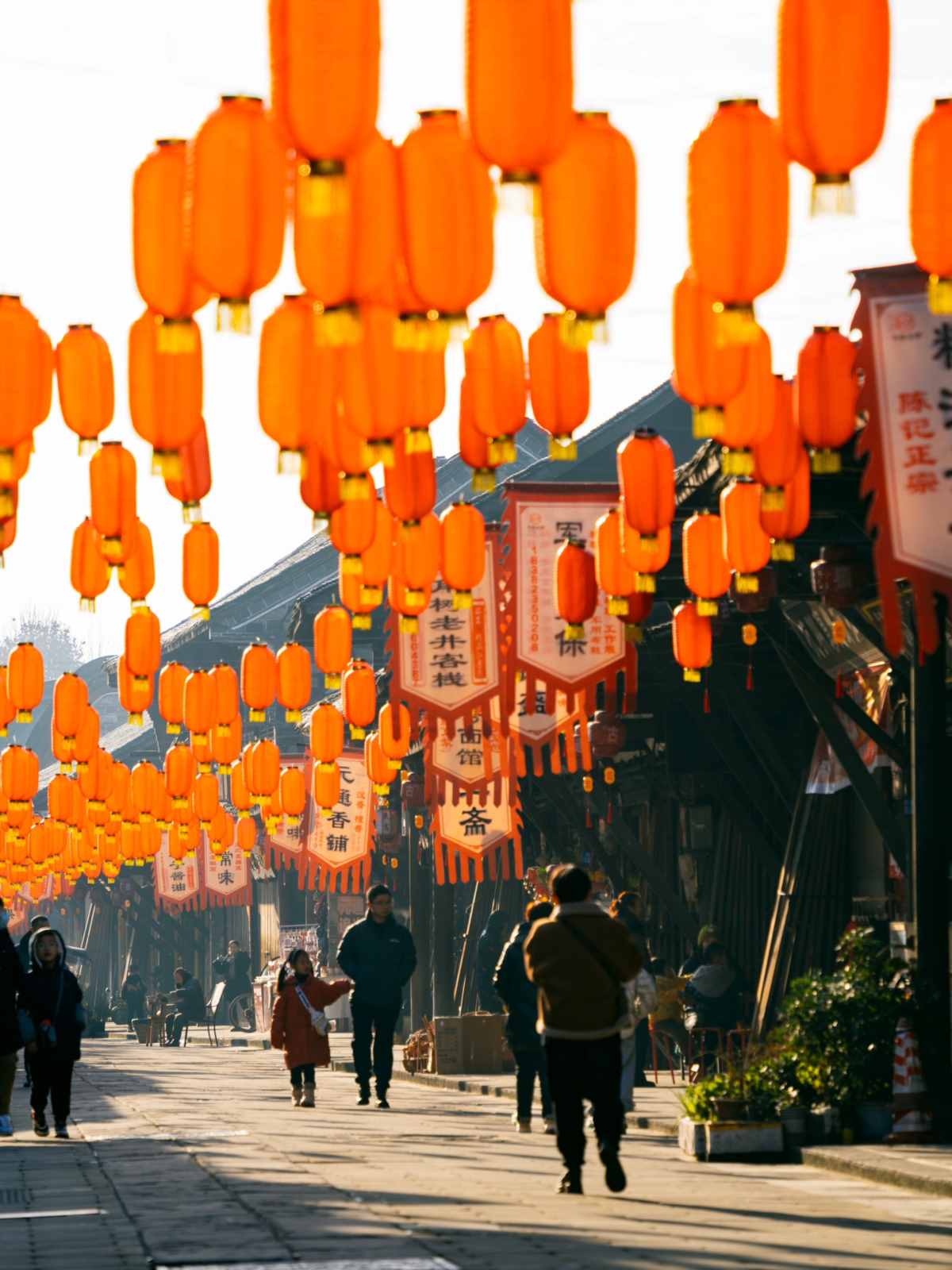 Within an hour around Chengdu, I was amazed by the millennium old town under the (16).jpg