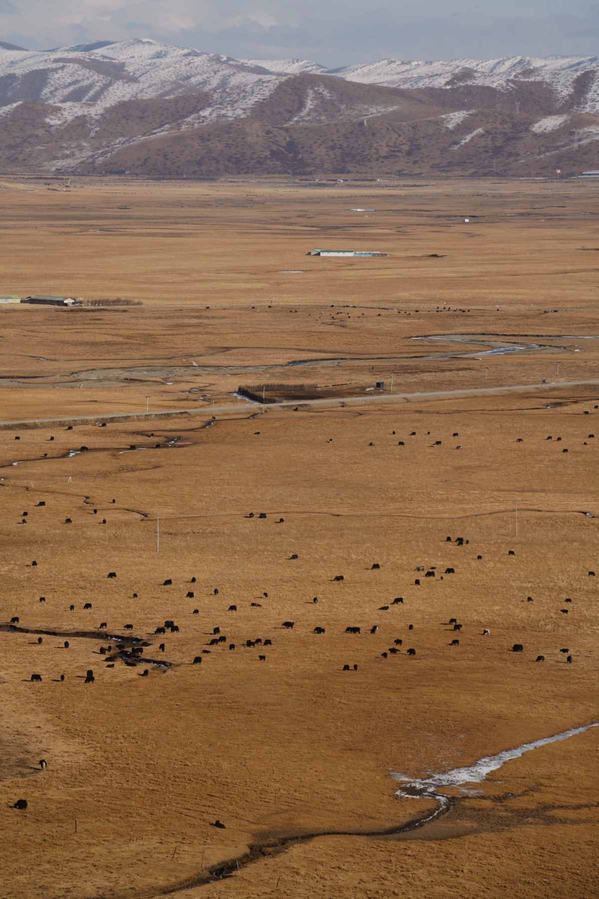 Reverse Travel  Lotus Treasure Leaf 3-Day Self Drive with Dog (with Guide) (2).jpg