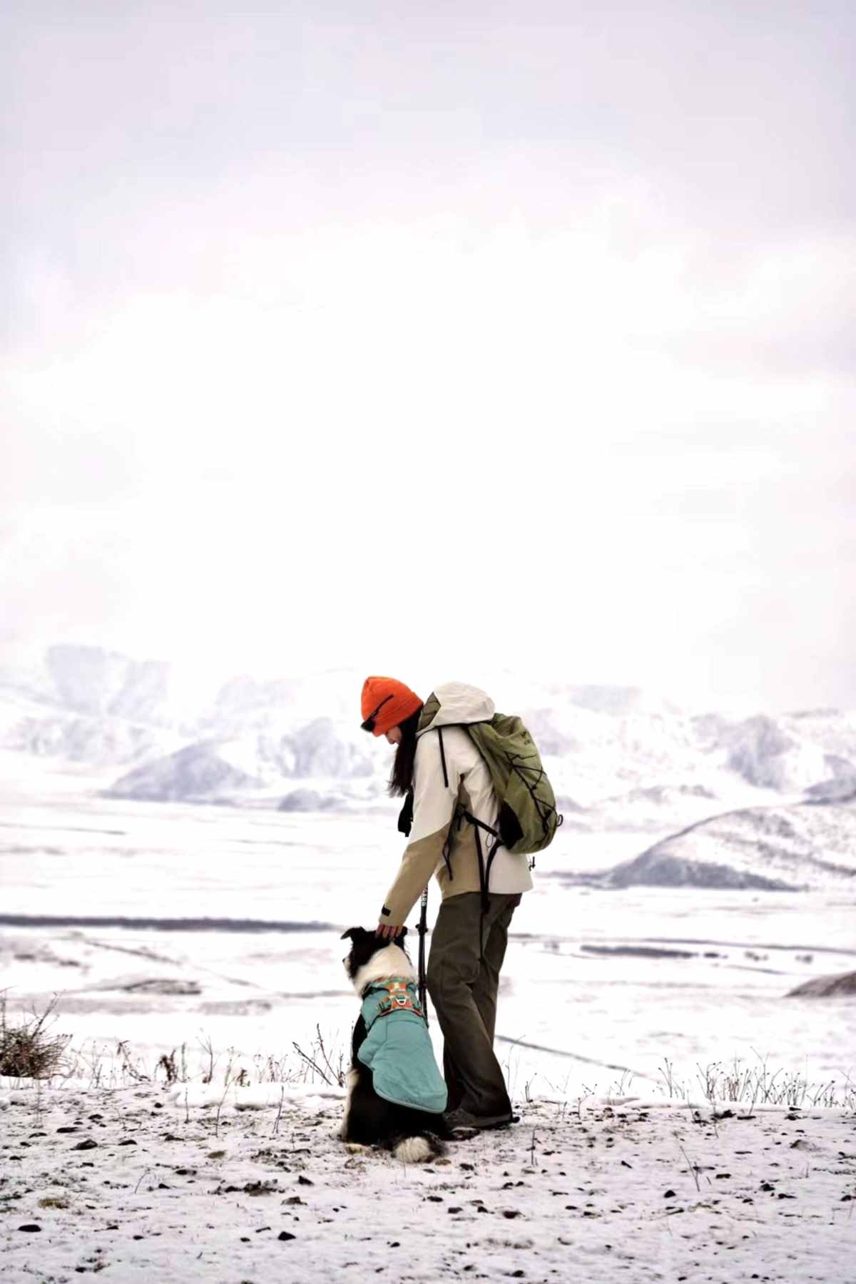 Reverse Travel  Lotus Treasure Leaf 3-Day Self Drive with Dog (with Guide) (11).jpg